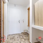 Rent 1 bedroom apartment in Brno