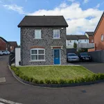 3 room house to let in lisburn