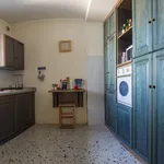 Rent 5 bedroom apartment of 130 m² in Brindisi