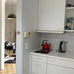 Rent 4 bedroom apartment in Basel