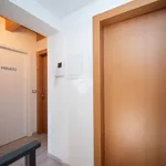 Rent 2 bedroom apartment of 29 m² in Argelato