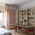 Rent a room of 100 m² in rome