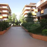 Rent 3 bedroom apartment of 120 m² in San Nicola La Strada