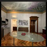 Rent 1 bedroom apartment of 35 m² in Turin