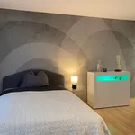 Rent 1 bedroom apartment of 42 m² in München