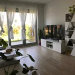 Rent 2 bedroom apartment of 60 m² in München