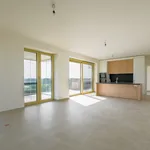 Rent 1 bedroom apartment in Waregem