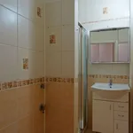 Rent 1 bedroom apartment of 41 m² in plzen