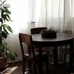 Rent 1 bedroom apartment of 48 m² in berlin