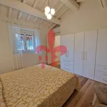 Rent 4 bedroom house of 100 m² in Firenze