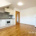 Pronajměte si 2 ložnic/e byt o rozloze 55 m² v Capital City of Prague