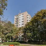 Rent 1 bedroom apartment of 27 m² in Warszawa