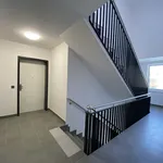 Rent 2 bedroom apartment of 55 m² in Berlin