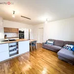 Pronajměte si 2 ložnic/e byt o rozloze 65 m² v Praha