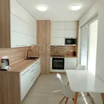 Rent 1 bedroom apartment of 34 m² in Most