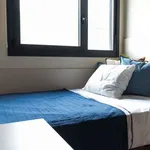 Rent a room in granada