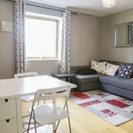 Rent 1 bedroom apartment of 40 m² in dublin