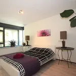 Rent 3 bedroom apartment of 84 m² in Soest