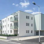 Miete 2 Schlafzimmer wohnung von 59 m² in Waldegg