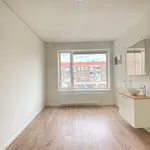 Huur 3 slaapkamer appartement van 70 m² in Struisenburg