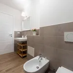 Rent 1 bedroom apartment in Bologna