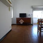 Rent 2 bedroom apartment of 60 m² in Alessandria