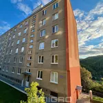 Rent 3 bedroom apartment of 65 m² in Adamov