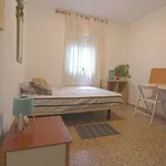 Alquilar 4 dormitorio apartamento en Valencia