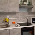 Rent 1 bedroom apartment of 30 m² in Torino