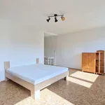 Rent 1 bedroom apartment of 38 m² in Praha