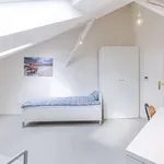 Rent a room of 87 m² in prague