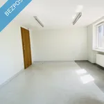 Rent 3 bedroom apartment of 58 m² in Poznan