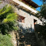 Rent 6 bedroom house of 200 m² in Castiglione della Pescaia