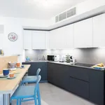 Rent 1 bedroom apartment in Bologna