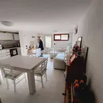 Rent 2 bedroom apartment of 65 m² in Pietrasanta