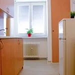 Rent 1 bedroom apartment in Blansko