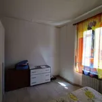 Rent 1 bedroom apartment in bologna