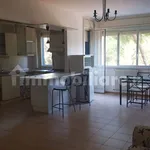 Rent 3 bedroom apartment of 80 m² in Perugia