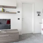 Rent 1 bedroom apartment of 60 m² in milan