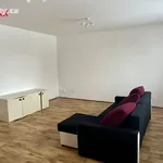 Pronajměte si 3 ložnic/e byt o rozloze 54 m² v Jihlava