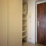 Rent 1 bedroom apartment of 44 m² in Prague