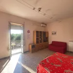 Rent 3 bedroom apartment of 75 m² in Roma