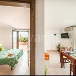 Rent 2 bedroom apartment of 50 m² in Castelsardo