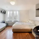 Rent 1 bedroom apartment of 18 m² in Zürich