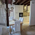 Rent 3 bedroom apartment of 90 m² in Padua