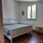 Rent 3 bedroom apartment of 60 m² in Forlì