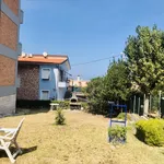 Rent 1 bedroom apartment of 117 m² in ancona