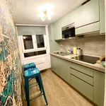 Rent 1 bedroom apartment in Florence