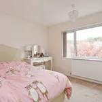 Rent 3 bedroom house in Sheffield