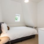 Rent 1 bedroom apartment of 33 m² in Nijmegen